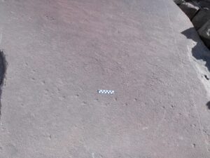 Pegadas na Formau00e7u00e3o Twyfelfontein