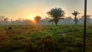 Campo Setembro/2015 - Nascer do Sol (acampamento su00edtio Niteru00f3i)