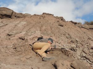 Campo 2016: Max escavando