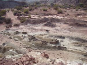 Campo 2016: Terreno