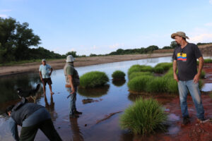 Campo Fevereiro/2019 - Fu00f3sseis no embasamento (Santana da Boa Vista)