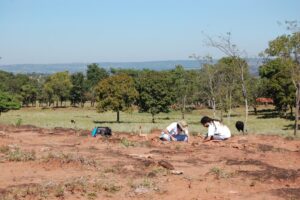 Campo Junho/2008 - Primeiras prospecu00e7u00f5es na Serra das Inhumas